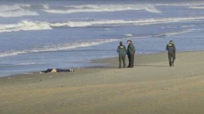 На юге Испании в море нашли тела четырех мигрантов - noticia.ru - Испания