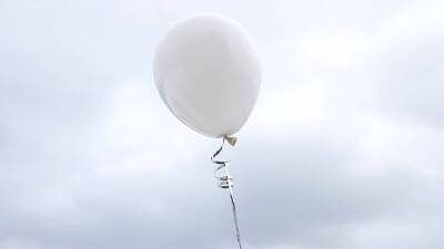 Жерар Пик - Первый в истории чемпионат мира по игре с воздушным шариком прошел в Испании - inforeactor.ru - Испания - штат Орегон