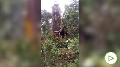 Si no te gustan las serpientes no veas este vídeo: encuentran a la más larga del mundo en Dominica - allspain.info