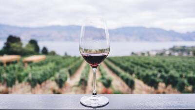 Los 5 mejores vinos de España en 2021 - allspain.info