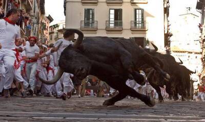 В Испании возобновились традиционные забеги от быков: уже есть погибший - vchaspik.ua - Украина - Испания - Онда