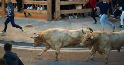 В Испании во время забега быков погиб человек - dsnews.ua - Украина - Испания - Онда