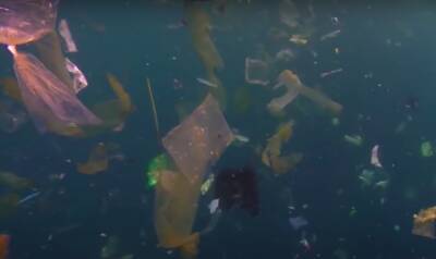 В Средиземном море плавает 3760 тонн пластикового мусора - noticia.ru