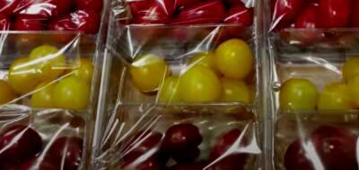 В Испании введут запрет на продажу еды в пластиковой упаковке - noticia.ru - Испания