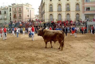 Эрнест Хемингуэй - В ходе традиционного забега быков в Испании погиб мужчина - lenta.ua - Украина - Испания - Онда