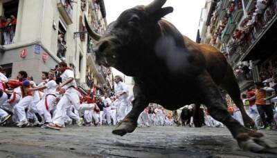 В Испании снова отменили забеги с быками из-за смерти одного из участников - ukrinform.ru - Испания - Онда
