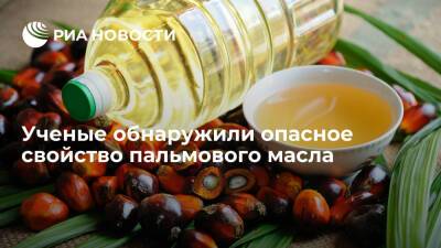 Ученые обнаружили опасное свойство пальмового масла - ria.ru - Испания - Сша - Москва