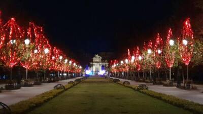 Парк El Retiro впервые наполнился рождественскими огнями - espanarusa.com - Испания - Мадрид