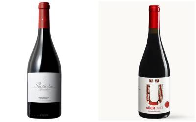 Два недорогих испанских вина вошли в список лучших в мире - noticia.ru
