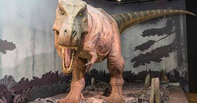 На территории современной Испании жили динозавры-спринтеры - ren.tv - Испания