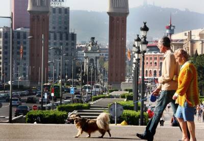 В Барселоне значительно возросло число собак - catalunya.ru - Испания