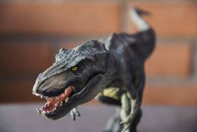 Учёные из Испании выяснили, с какой скоростью бегали плотоядные динозавры - actualnews.org - Испания