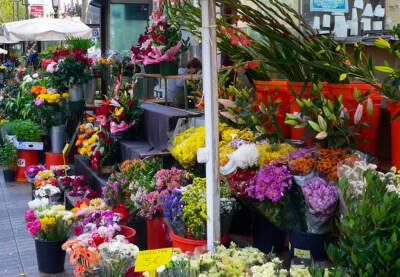 На центральной улице Барселоны Рамбла будут не только продавать цветы, но и давать уроки флористики - catalunya.ru - Испания - Барселоны