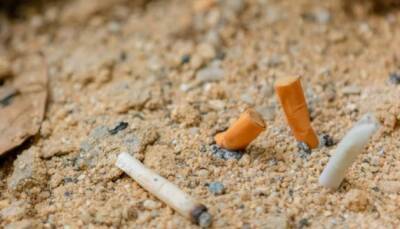 Педро Санчес - В Испании запретили курить на пляжах: нарушителей будут штрафовать на €2000 - ukrinform.ru - Испания