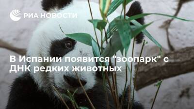 В Барселоне создадут "замороженный зоопарк" для хранения ДНК редких животных - ria.ru - Испания - Москва