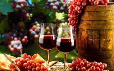 Средиземноморское виноделие Испании: взгляд историка. Южные сорта и южный стиль - estate-spain.com - Испания