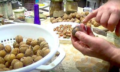 Диетологи рассказали, как орехи помогают похудеть - noticia.ru