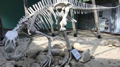 В Испании мертвого мужчину обнаружили в статуе динозавра - mir24.tv - Испания