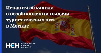 Юрий Гагарин - Юрий Корчагин - Испания объявила о возобновлении выдачи туристических виз в Москве - nsn.fm - Россия - Испания - Мадрид - Москва - Евросоюз