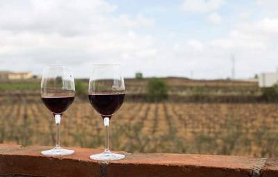 Испанское вино: полный гид - barcelonatm.ru - Испания