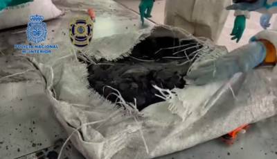Испанские и португальские копы обнаружили 30 мешков «кокаинового угля» без запаха - ukrinform.ru - Испания - Португалия - Боливия