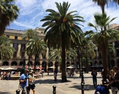 В Барселоне появилось приложение Cool Walks, прокладывающее маршруты через теневые участки с питьевыми фонтанами - actualnews.org