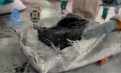 В Испании изъяли 860 кг кокаина, замаскированного под уголь - novostiua.news - Украина - Испания - Португалия