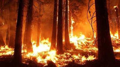 В Испании в туристическом районе вспыхнул масштабный пожар: людей эвакуируют - novostiua.news - Украина - Испания