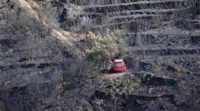 Пожар в Испании уничтожил сотни гектаров природного парка - ru.slovoidilo.ua - Украина - Испания