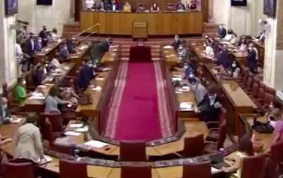 Сусана Диас - В Испании крыса сорвала заседание парламента - lenta.ua - Украина - Испания