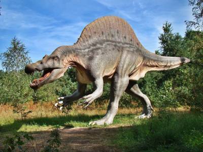 Ученые составили «портрет» ужасающего динозавра, обитавшего на территории современной Испании - actualnews.org - Испания