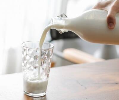 Ученые из Мадрида ведут новаторские исследования свойств кобыльего молока - espanarusa.com - Испания - Мадрид - Монголия