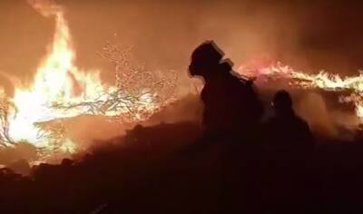 El Mundo - В Испании сгорели тысячи гектаров леса - noticia.ru - Испания