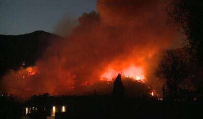 В Испании около 800 человек эвакуировали в связи с лесными пожарами - newizv.ru - Испания