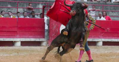 В Испании отменили корриду из-за обидных кличек быков - ren.tv - Испания - Хихон