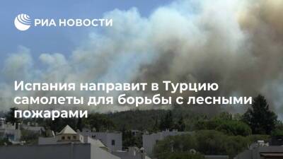 Испания отправит для помощи в борьбе с лесными пожарами в Турции два самолета-амфибии - ria.ru - Испания - Мадрид - Турция