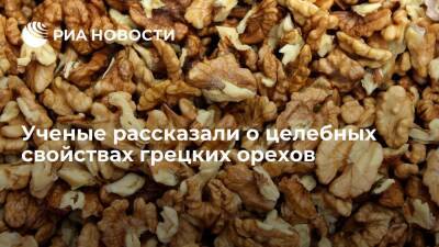 Ученые рассказали о целебных свойствах грецких орехов - ria.ru - Испания - Сша - Москва
