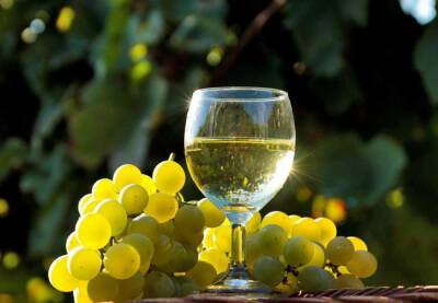 Белое вино из Пенедеса было признано лучшим в Испании - catalunya.ru - Испания - Англия