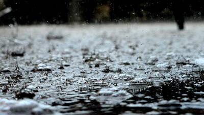 «Оранжевый» уровень опасности ввели на большей части Испании из-за дождей - iz.ru - Испания - Мадрид - Madrid