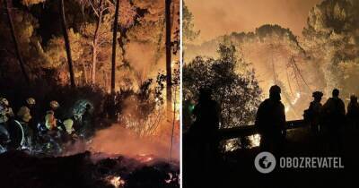 Лесной пожар в Испании – сотни людей эвакуировали, фото, видео и последние новости - obozrevatel.com - Испания