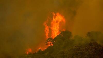 Сотни человек эвакуировали из-за сильного природного пожара на юге Испании - 5-tv.ru - Испания