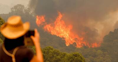 В Испании продолжает бушевать лесной пожар, эвакуированы более 1000 человек (фото, видео) - focus.ua - Украина - Испания