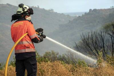 Подозревают поджог: на юге Испании четвертый день бушует лесной пожар - vchaspik.ua - Украина - Испания