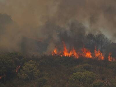 El Pais - Пожары на юге Испании продолжаются: сгорело более 7 тыс. гектаров - unn.com.ua - Украина - Испания - Киев - Эстепон