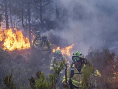 El Pais - Пожар на юге Испании: огонь приблизился к заповеднику - unn.com.ua - Украина - Испания - Киев
