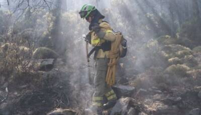 El Pais - В Испании в результате пожаров выгорели почти 7,5 тысячи гектаров леса - ukrinform.ru - Испания - Эстепон
