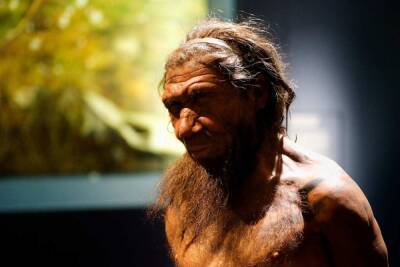 В Испании антропологи путем ролевой игры выяснили, как неандертальцы ловили птиц в пещерах - actualnews.org - Испания - Мадрид