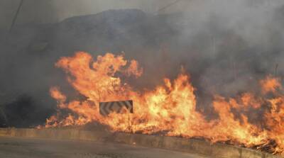 El Pais - Лесной пожар в Испании приблизился к заповеднику - ru.slovoidilo.ua - Украина - Испания - Греция
