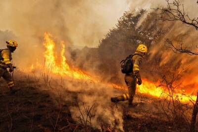 Масштабный лесной пожар на юге Испании удалось локализовать - vchaspik.ua - Украина - Испания