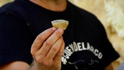 В Испании нашли останки доисторической «мясной лавки» - noticia.ru - Испания